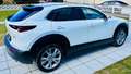 Mazda CX-30 G122 Comfort+/SO/ST/PR/TE Aut. - 1. Besitz Topz... Weiß - thumbnail 38