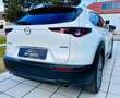 Mazda CX-30 G122 Comfort+/SO/ST/PR/TE Aut. - 1. Besitz Topz... Weiß - thumbnail 37