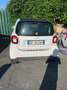 smart forTwo 1.0 Youngster 71cv twinamic Bianco - thumbnail 2