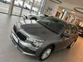 Skoda Kamiq 1,0 TSI Selection DSG Grau - thumbnail 3