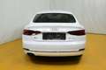 Audi A5 SB 40 TDI design S-tronic Weiß - thumbnail 17