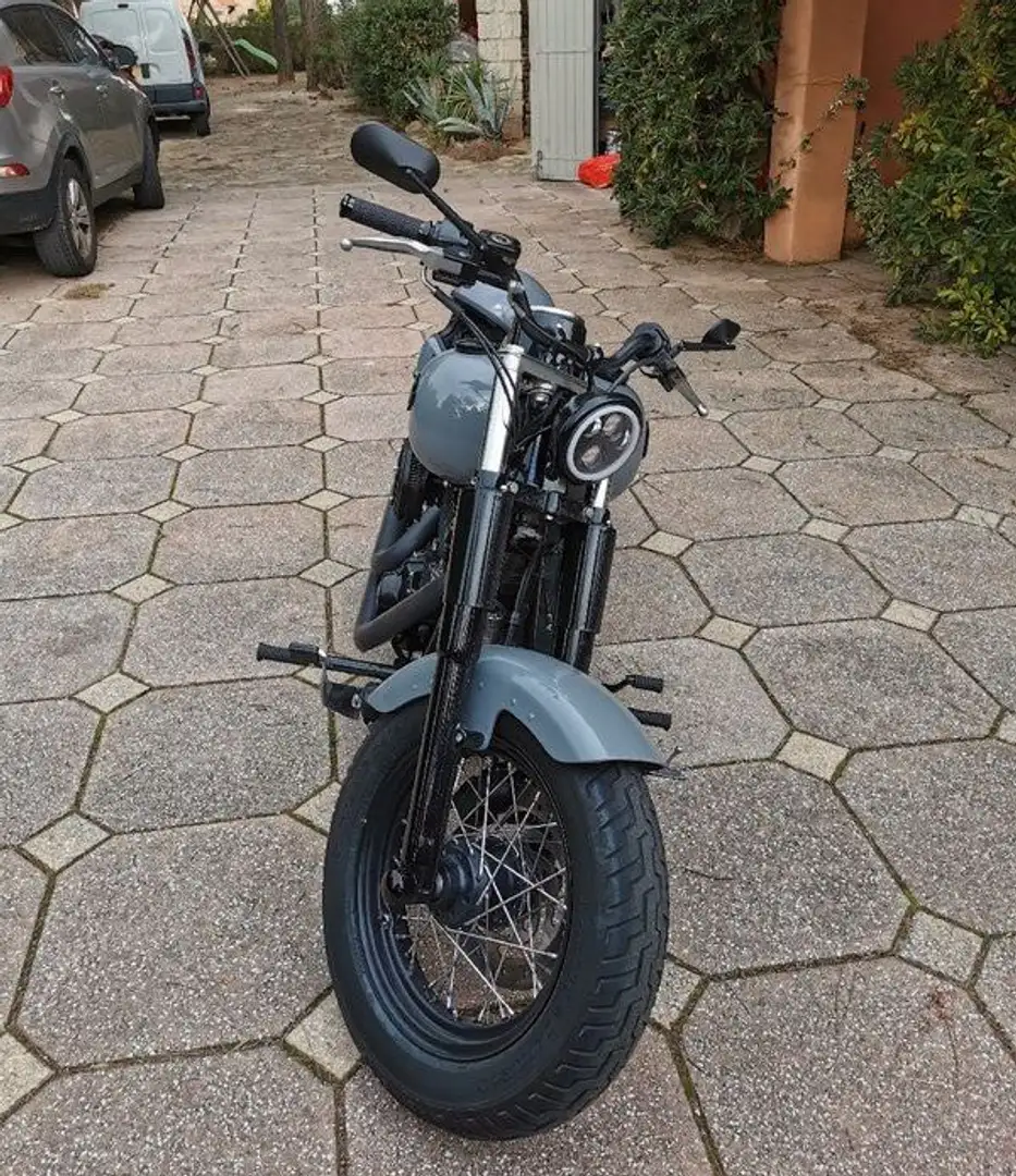 Harley-Davidson Softail Slim Softail slim ABS Szary - 2