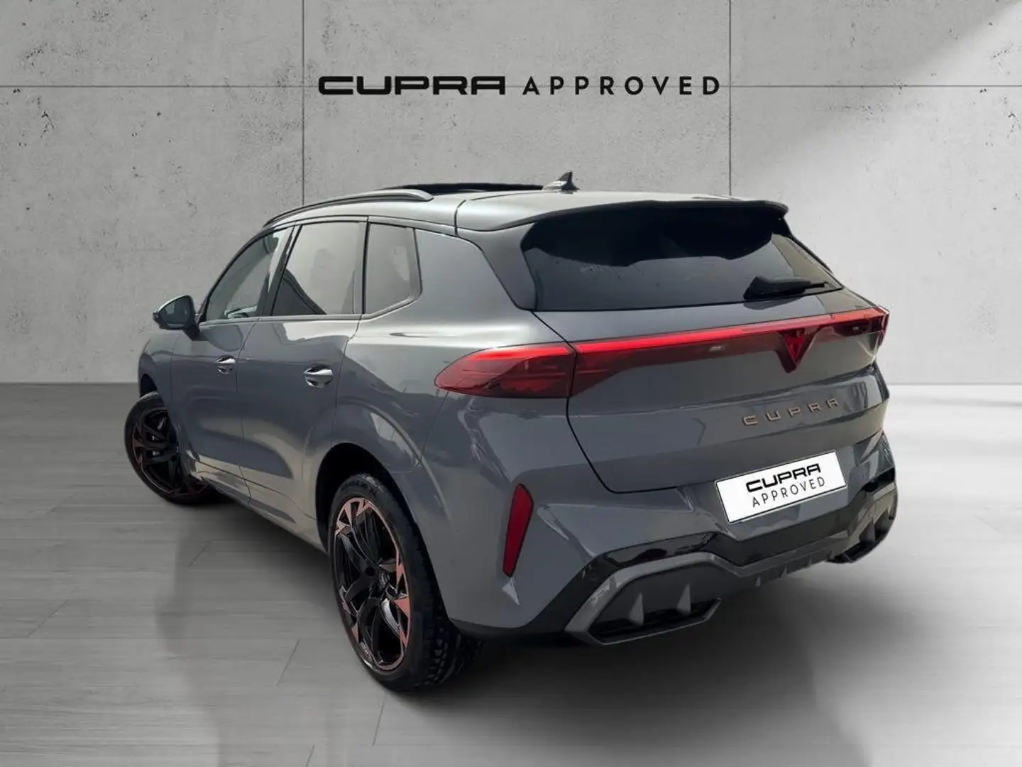 CUPRA Terramar 2.0 TSI VZ 195kW DSG 4Drive Gris - 2