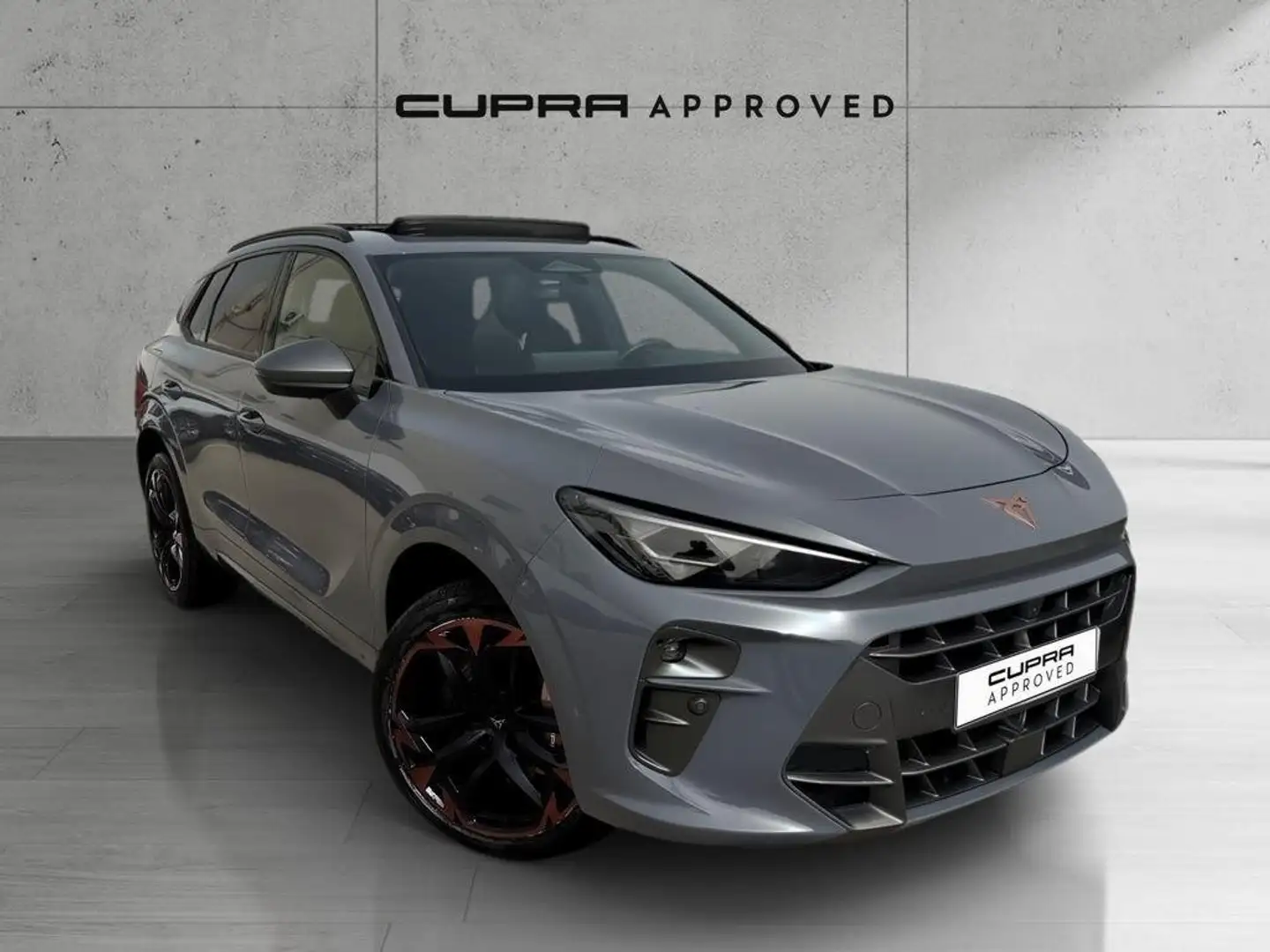 CUPRA Terramar 2.0 TSI VZ 195kW DSG 4Drive Gris - 1