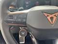 CUPRA Terramar 2.0 TSI VZ 195kW DSG 4Drive Gris - thumbnail 9