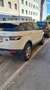 Land Rover Range Rover Evoque Range Rover Evoque Pure 2,2 TD4 Aut. Pure Weiß - thumbnail 3