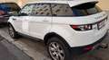 Land Rover Range Rover Evoque Range Rover Evoque Pure 2,2 TD4 Aut. Pure Weiß - thumbnail 13
