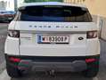Land Rover Range Rover Evoque Range Rover Evoque Pure 2,2 TD4 Aut. Pure Weiß - thumbnail 2