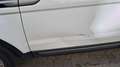 Land Rover Range Rover Evoque Range Rover Evoque Pure 2,2 TD4 Aut. Pure Weiß - thumbnail 11