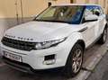 Land Rover Range Rover Evoque Range Rover Evoque Pure 2,2 TD4 Aut. Pure Weiß - thumbnail 8