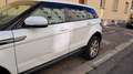 Land Rover Range Rover Evoque Range Rover Evoque Pure 2,2 TD4 Aut. Pure Weiß - thumbnail 10