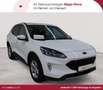 Ford Kuga Kuga 1.5 EcoBlue COOL&CONNECT Weiß - thumbnail 1