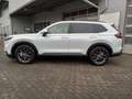 Honda CR-V e:HEV Elegance AWD *AKTION* Weiß - thumbnail 3