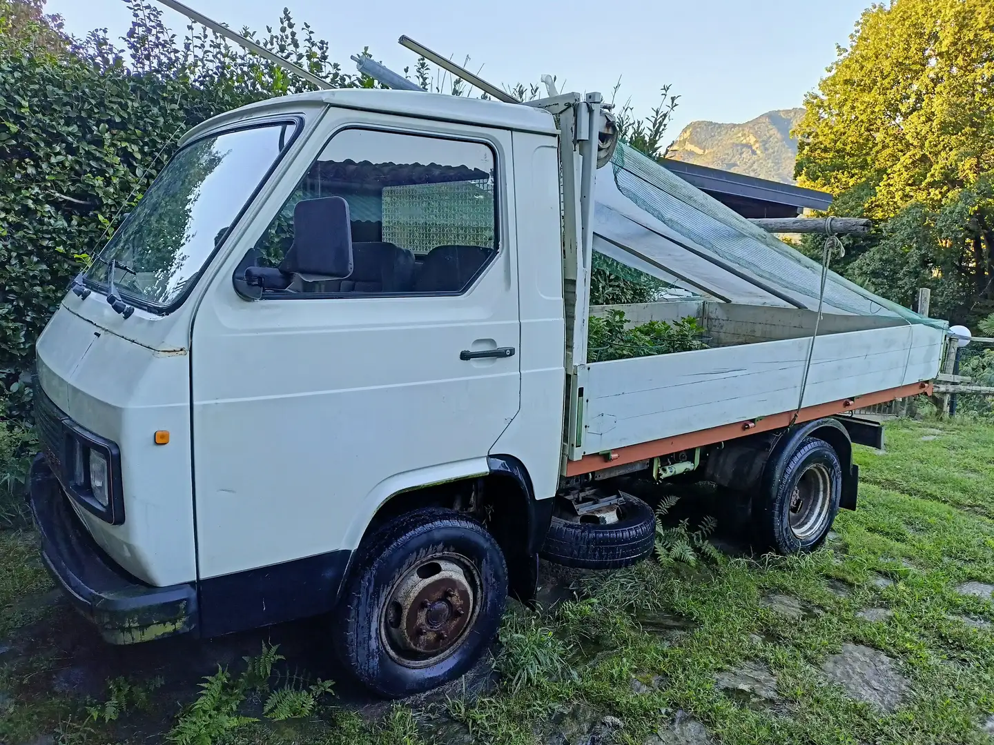 Nissan Trade Bianco - 1