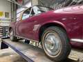 Fiat 1100TV spider 1956 Paars - thumbnail 8