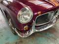 Fiat 1100TV spider 1956 Paars - thumbnail 10