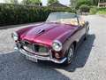 Fiat 1100TV spider 1956 Paars - thumbnail 1