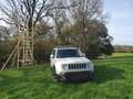 Jeep Renegade Renegade Diesel 2.0 MultiJet Adventure Edition Weiß - thumbnail 10