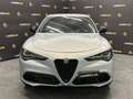 Alfa Romeo Stelvio 2.2 SUPER Q4 210CV*MY 2024*EXTRA-SCONTO* Grigio - thumbnail 2