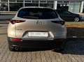 Mazda CX-30 Selection Design+Premium-P+Standheizung Beige - thumbnail 7