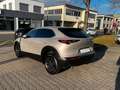 Mazda CX-30 Selection Design+Premium-P+Standheizung Beige - thumbnail 6