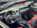 Ford Mustang GT Convertible V8  Premium-Paket II  5.0 Ti-VCT Schwarz - thumbnail 5