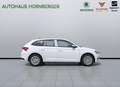 Skoda Scala Sondermodell 130Jahre Verkehrszeichenerkennung LED Bianco - thumbnail 6