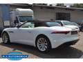 Jaguar F-Type Cabriolet P340 ,Sportabgasanl.,Performance Sitze Alb - thumbnail 8