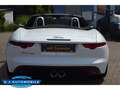 Jaguar F-Type Cabriolet P340 ,Sportabgasanl.,Performance Sitze Alb - thumbnail 13