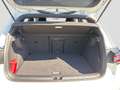 Volkswagen Golf VIII 1.5eTSI DSG Edition 50 Matrix Pano HUD Blanc - thumbnail 12