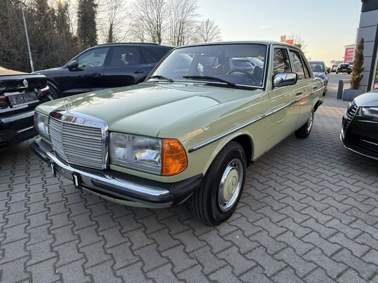 Mercedes-Benz W123 250 Traumzustand! TÜV/AU 07.2026 Grün - 1