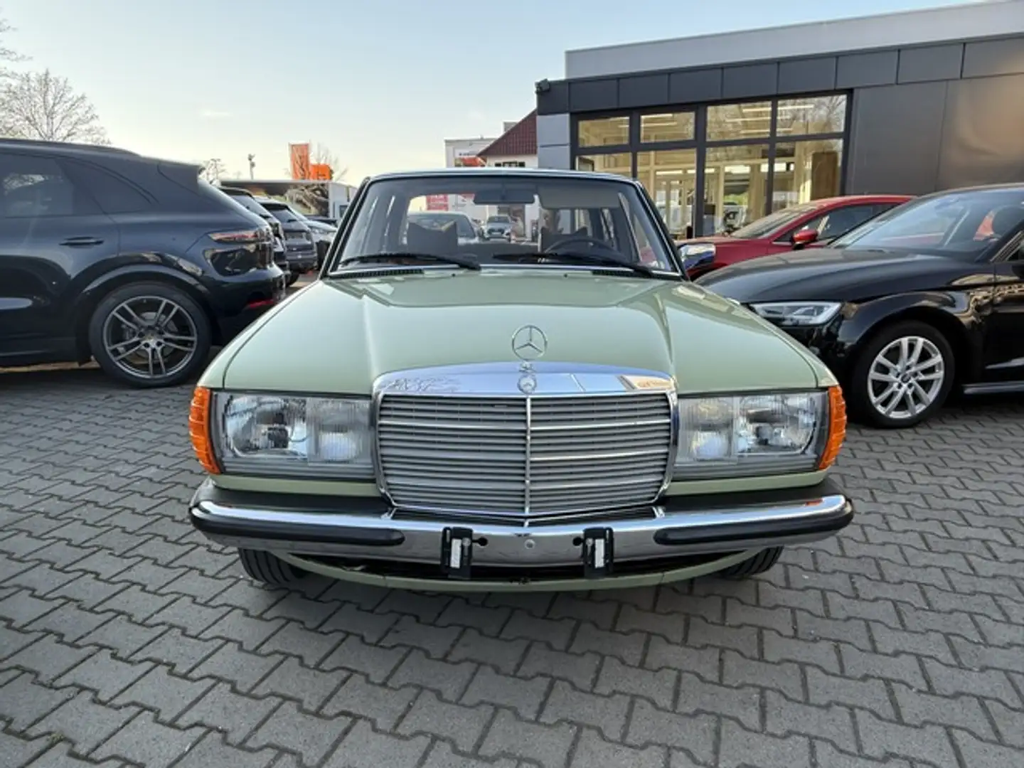 Mercedes-Benz W123 250 Traumzustand! TÜV/AU 07.2026 Grün - 2