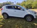 Kia Sportage Sportage 1.6 GDI 2WD Attract Weiß - thumbnail 2