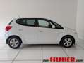 Kia Venga 1,6 CRDi Gold Weiß - thumbnail 5