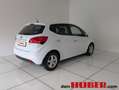Kia Venga 1,6 CRDi Gold Weiß - thumbnail 6