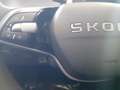 Skoda Kamiq 1.0 TSI Selection 85kW DSG7 Negro - thumbnail 2