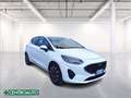 Ford Fiesta 5p 1.1 Titanium 75cv Blanco - thumbnail 1