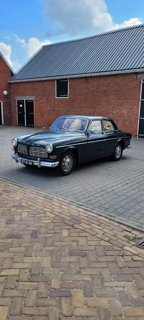 Volvo Amazon Grün - 1