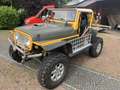 Jeep Wrangler 4.0 FULL TRAIL OHLINS 2xWINDE Vert - thumbnail 1