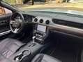 Ford Mustang Convertible 5.0 Ti-VCT GT Aut. Gris - thumbnail 12