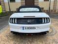 Ford Mustang Convertible 5.0 Ti-VCT GT Aut. Gris - thumbnail 10