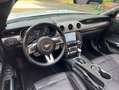 Ford Mustang Convertible 5.0 Ti-VCT GT Aut. Gris - thumbnail 13