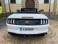 Ford Mustang Convertible 5.0 Ti-VCT GT Aut. Gris - thumbnail 6