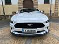 Ford Mustang Convertible 5.0 Ti-VCT GT Aut. Gris - thumbnail 2