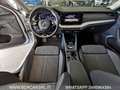 Skoda Octavia Wagon 2.0 TDI 150 CV SCR DSG Executive*TELECAMERA Blanc - thumbnail 14