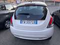 Lancia Ypsilon Ypsilon 1.2 Gold ecochic Gpl 69cv my19 Bianco - thumbnail 5