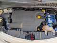 Fiat 500L Living 1.6 mjt Pop Star 105cv Weiß - thumbnail 7