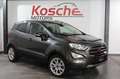Ford EcoSport Titanium B&O 1.Hand Unfallfrei SHZ Grau - thumbnail 1