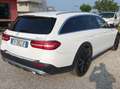 Mercedes-Benz E 220 Classe E SW All-Terrain d Sport 4matic automatica Bianco - thumbnail 7