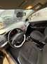 Kia Picanto Attract Braun - thumbnail 6